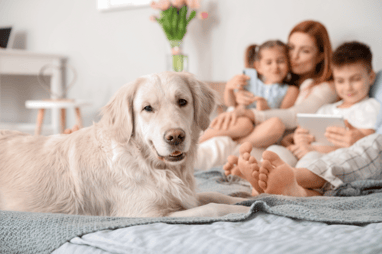 Energy Features Blog_Cozy Family