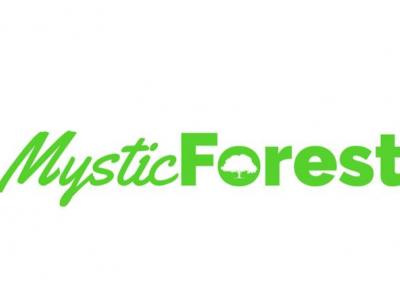 mystic Forest